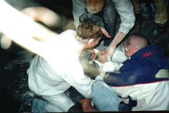 fv2002_0015