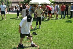 fv2006_0003