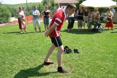 fv2006_0015