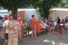 fv2006_0023