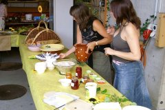 fv2007_0007