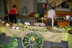 fv2007_0008