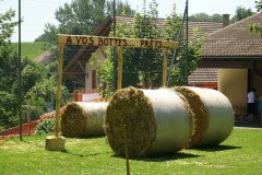 fv2007_0014