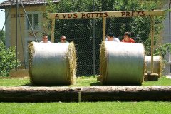 fv2007_0015