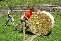 fv2007_0020