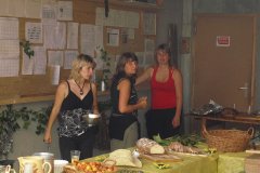 fv2007_0027
