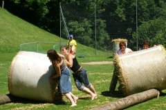 fv2007_0039