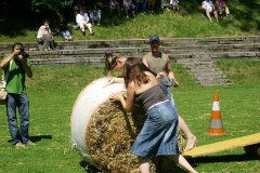 fv2007_0040