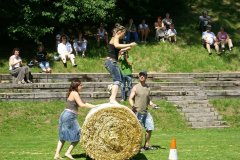 fv2007_0041