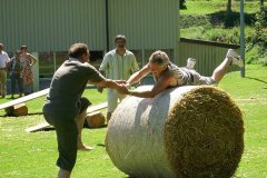 fv2007_0046