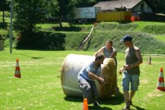fv2007_0050
