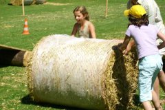 fv2007_0053