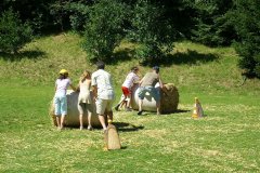 fv2007_0054