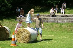 fv2007_0055
