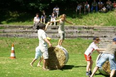 fv2007_0056