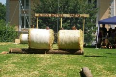 fv2007_0058