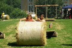 fv2007_0061
