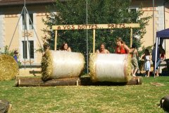 fv2007_0065