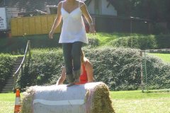 fv2007_0069