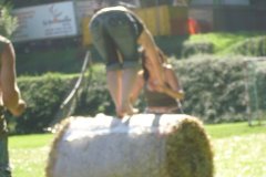 fv2007_0070