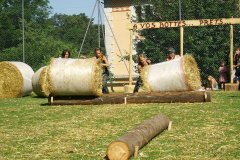 fv2007_0071