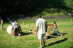 fv2007_0072