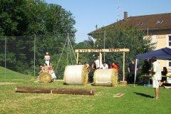 fv2007_0073