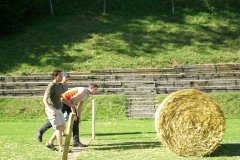fv2007_0079