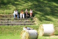 fv2007_0084
