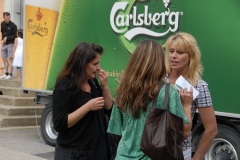 fv2009_0012