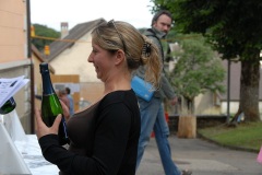 fv2009_0014