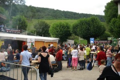 fv2009_0027