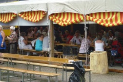 fv2010_0036