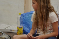 fv2011_0062