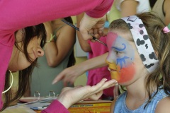 fv2011_0079