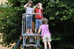 fv2011_0082