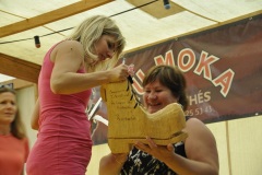 fv2011_0089