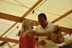 fv2011_0090
