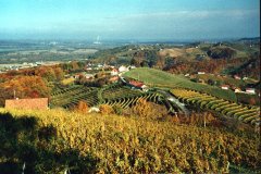 slo2002_0025